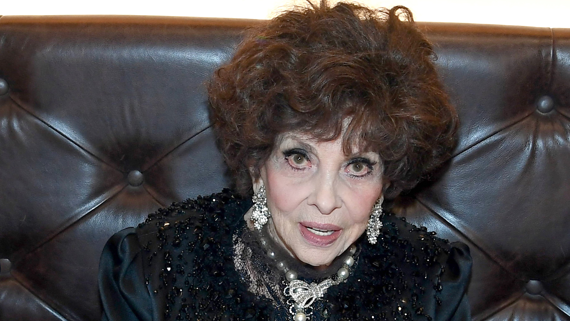 Gina Lollobrigida Senate