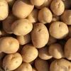Картофель