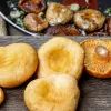 Рыжики Рыжики