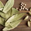 Лавровый лист