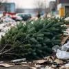 Новогодняя елка на свалке