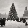 Живая ёлка, зимняя Москва