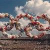 Стадион, олимпийские кольца