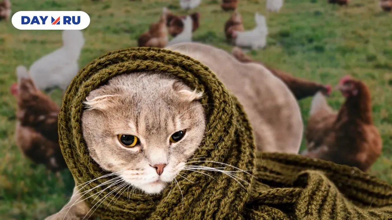  Вирус будет передаваться не только через кошек — через птиц и свиней тоже