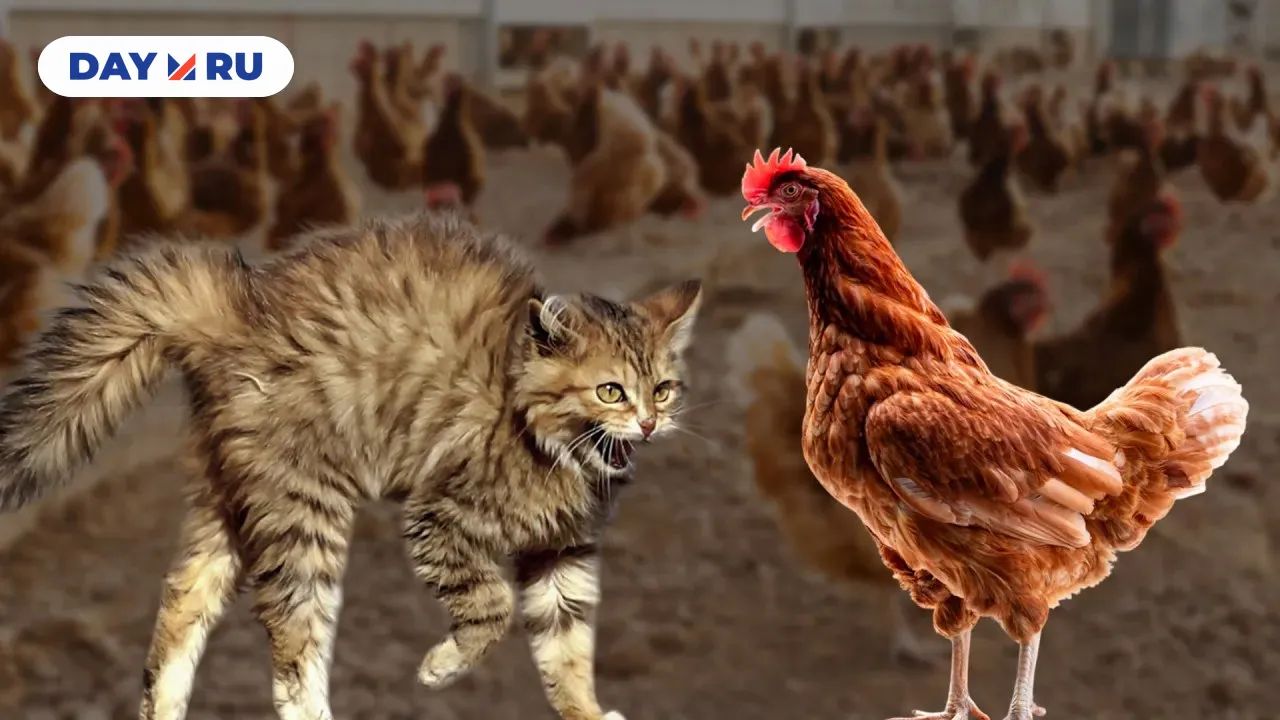 Птичий грипп