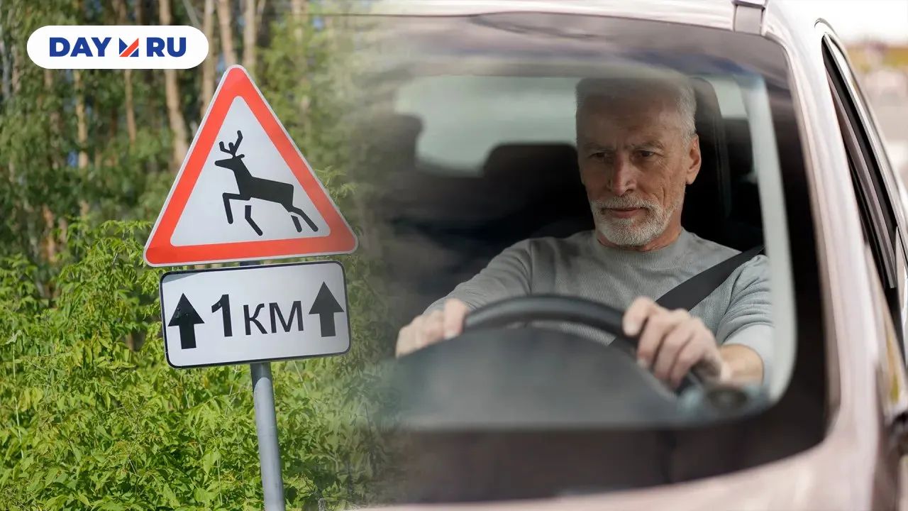 Знаки «Дикие животные»