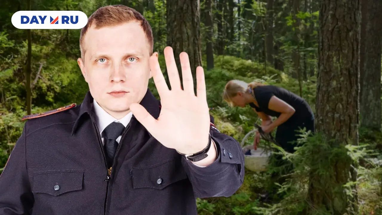 По ягоды в рамках закона