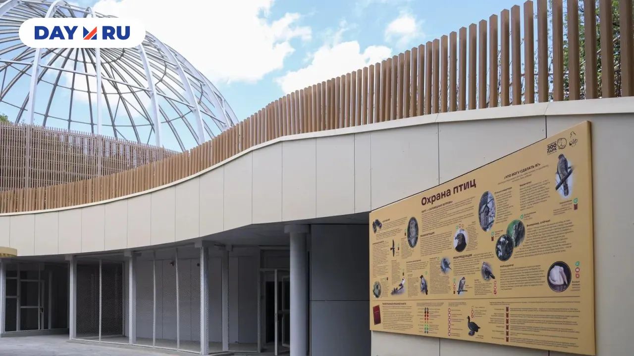 Новый дом для птиц