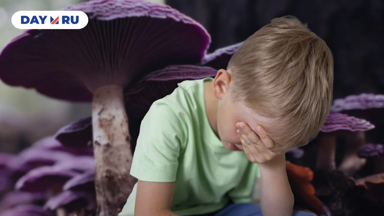 мальчик гриб