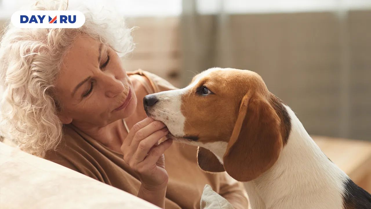 собака и хозяйка