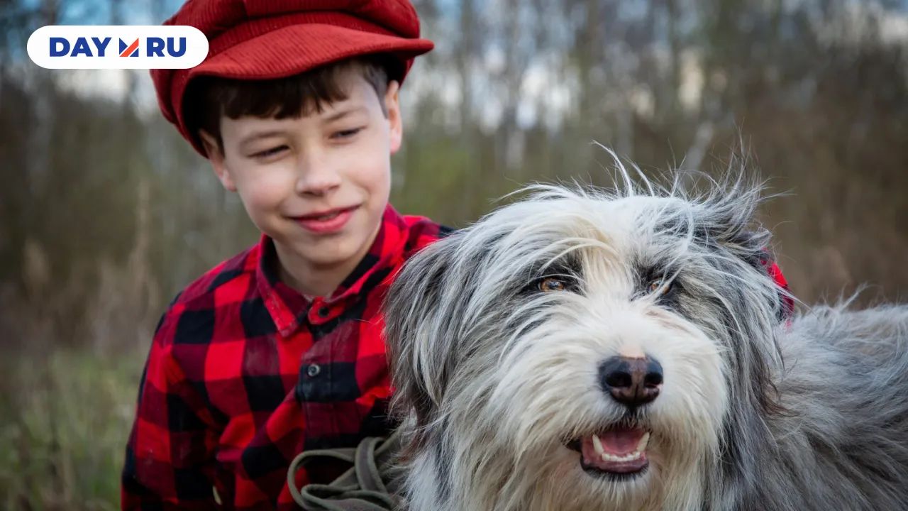 мальчик с собакой