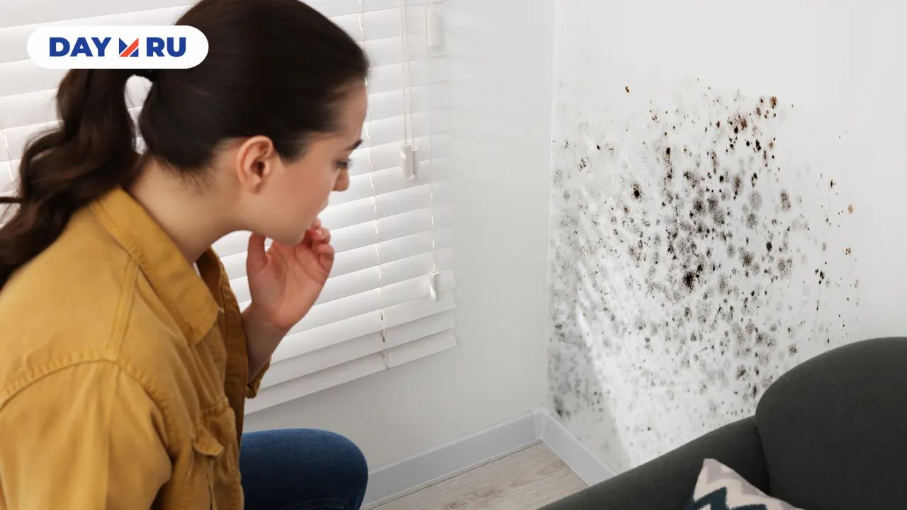 Чёрная плесень