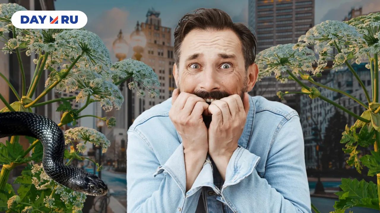 «Коммунарка зарастает»