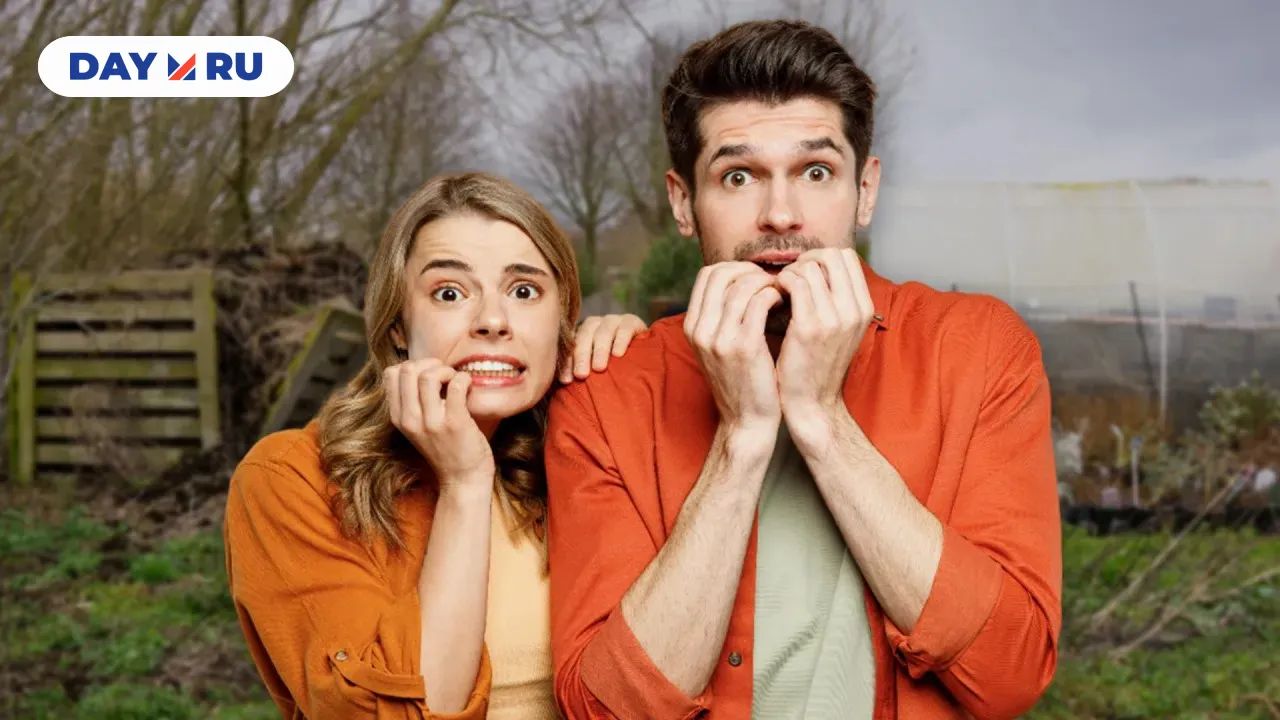 Захламленный участок