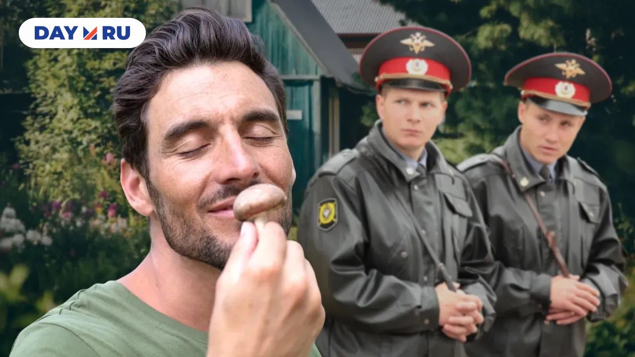 Грибы на даче