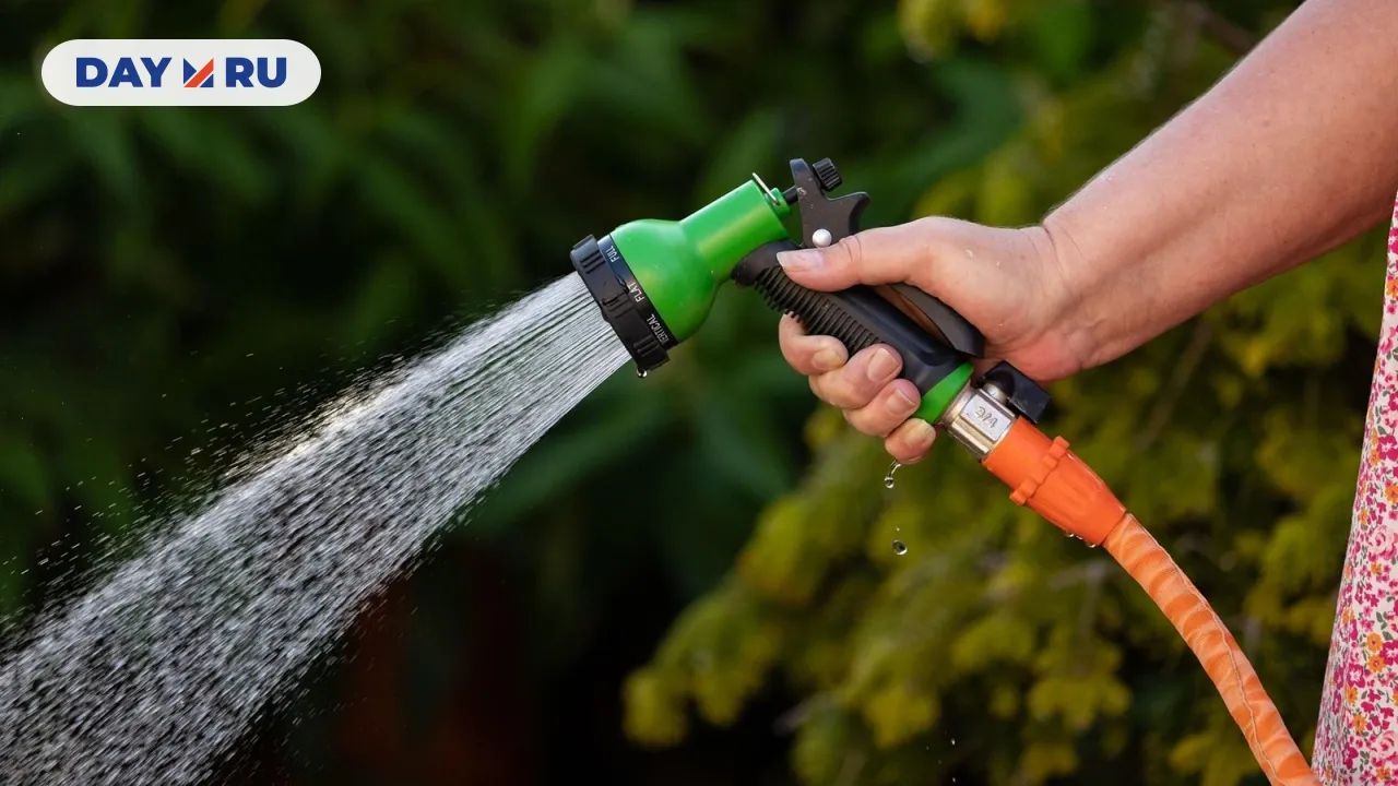 Садовый шланг