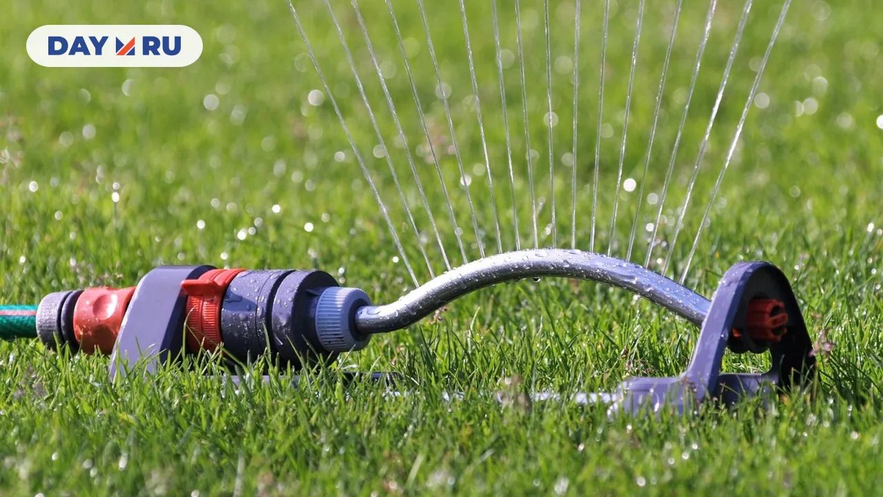 Уход за газоном