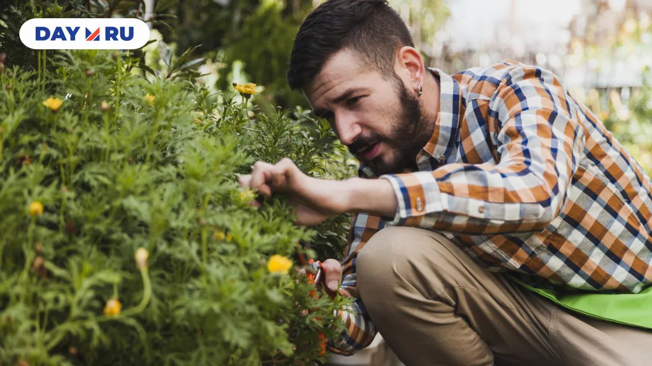 Мужчина на огороде