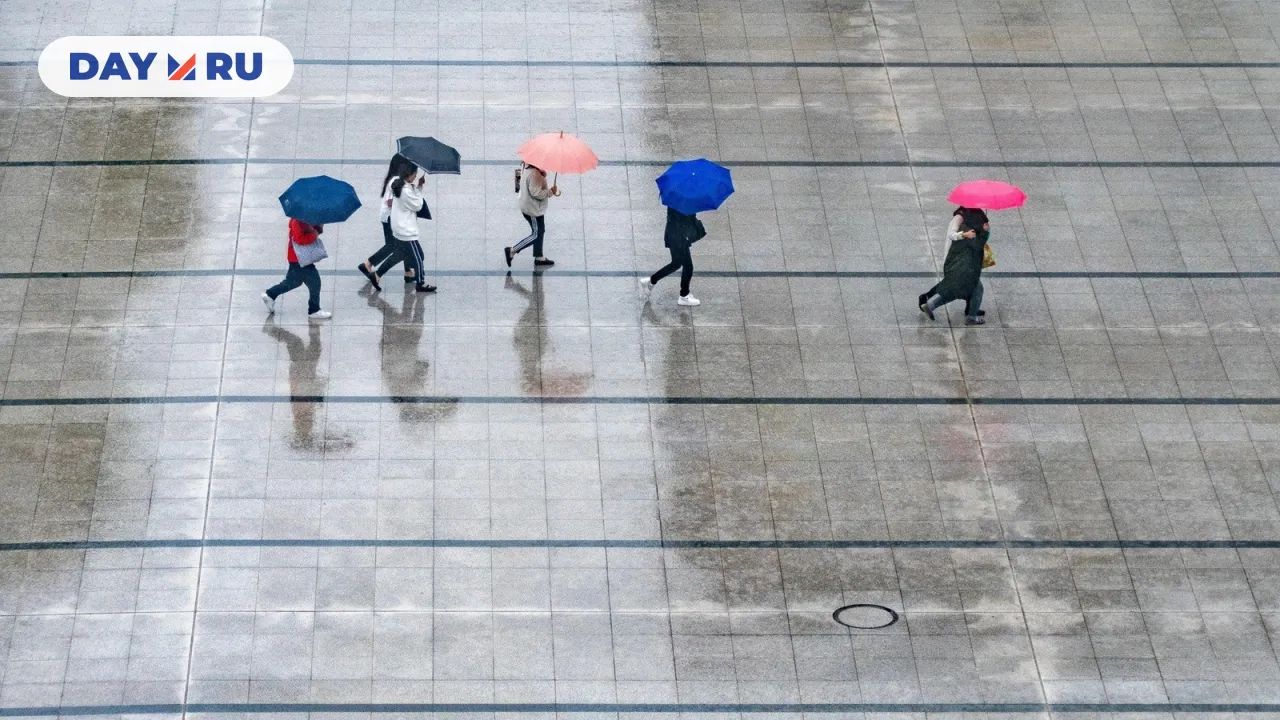 Дождливая погода