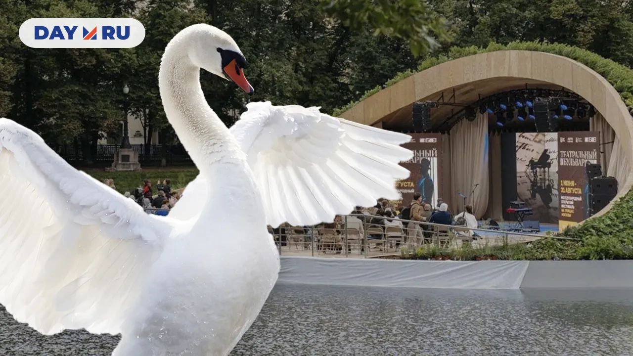 Лебедь на Патриарших прудах