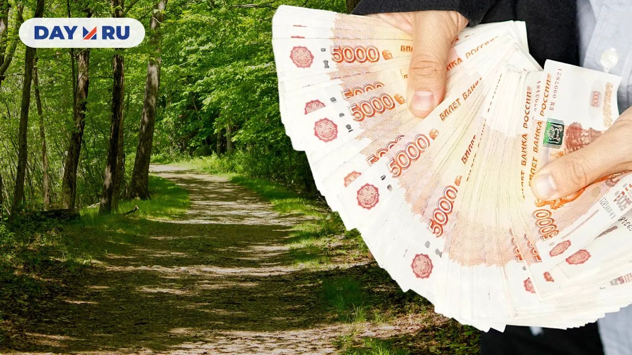 Тропинка в лесу