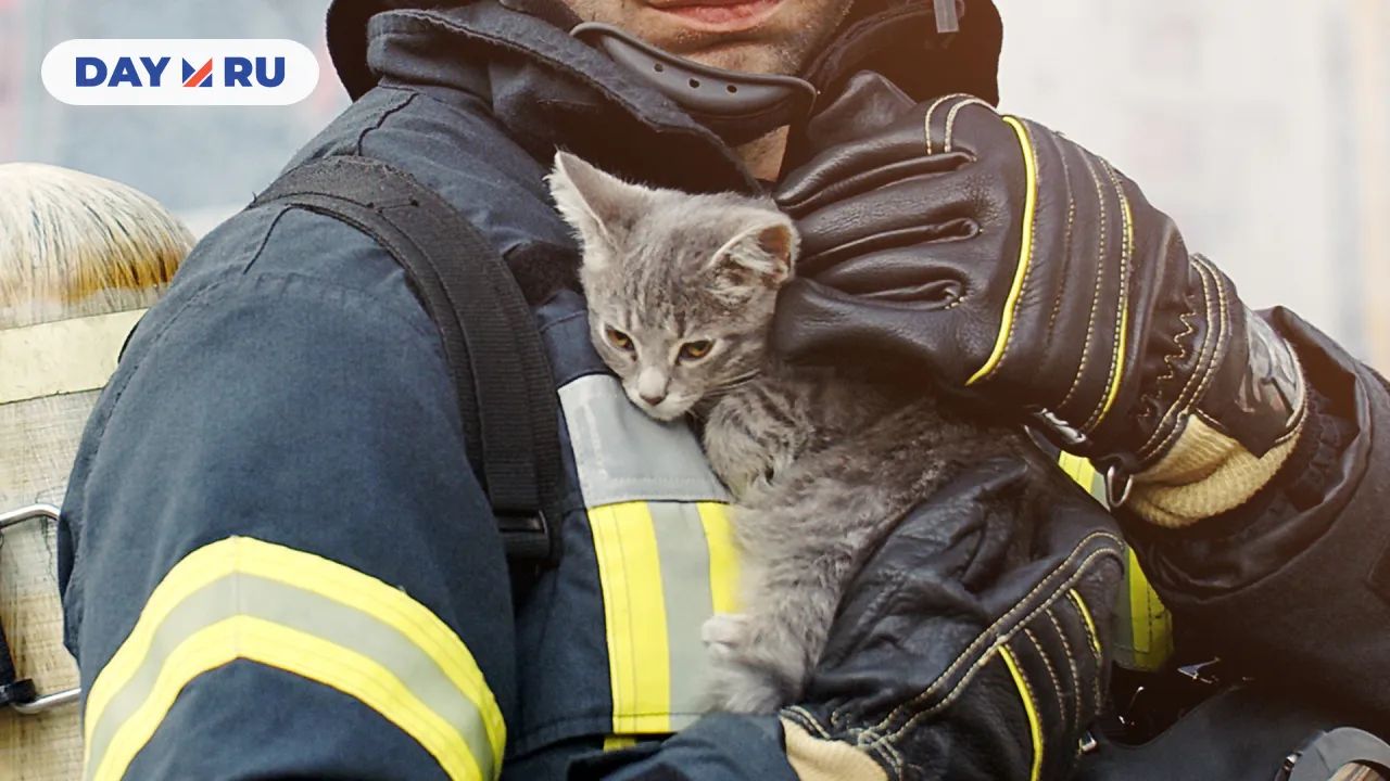 Пожарный с котом