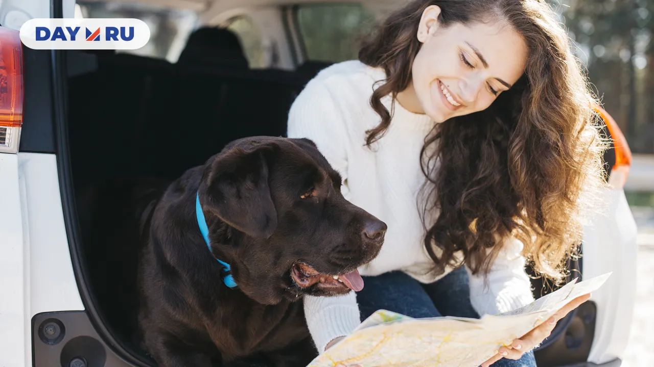 Путешествие с питомцем