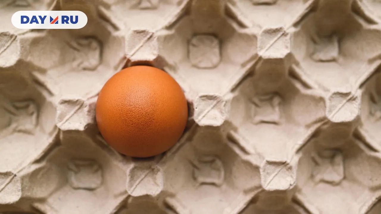 Куриное яйцо