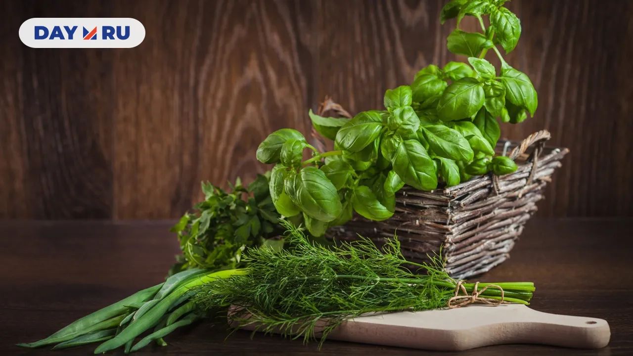 Свежая зелень