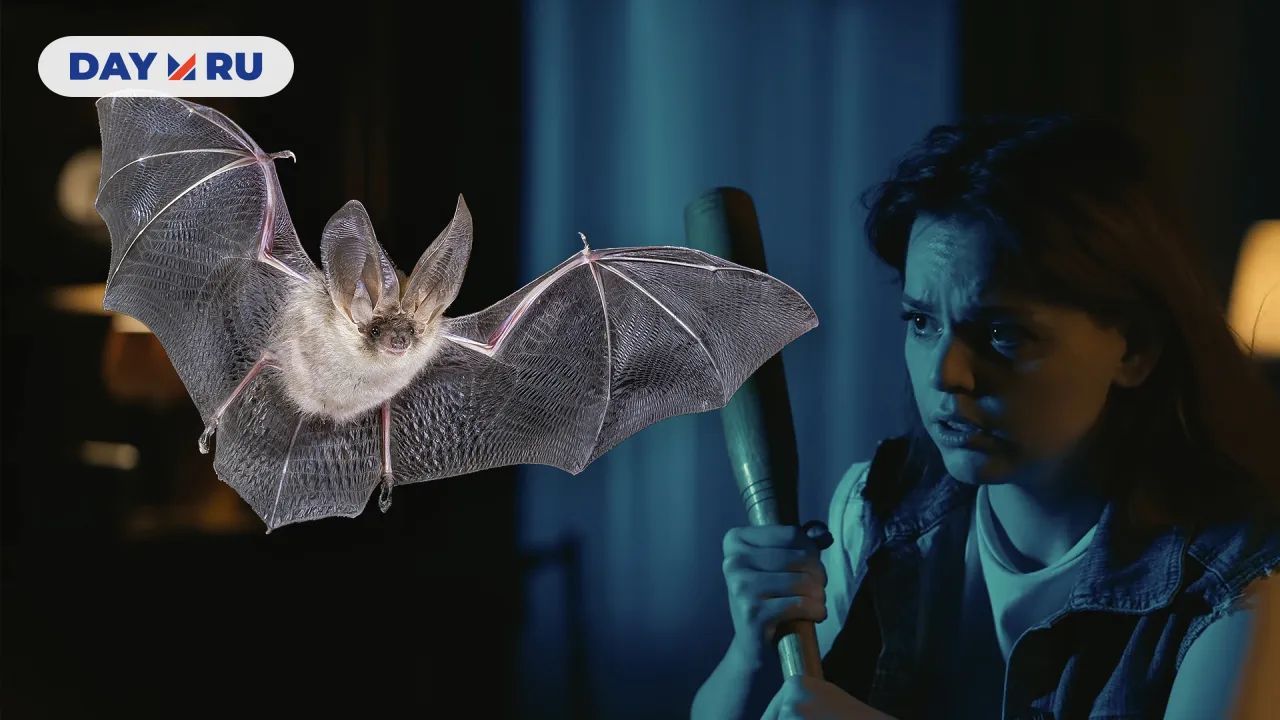 Летучая мышь