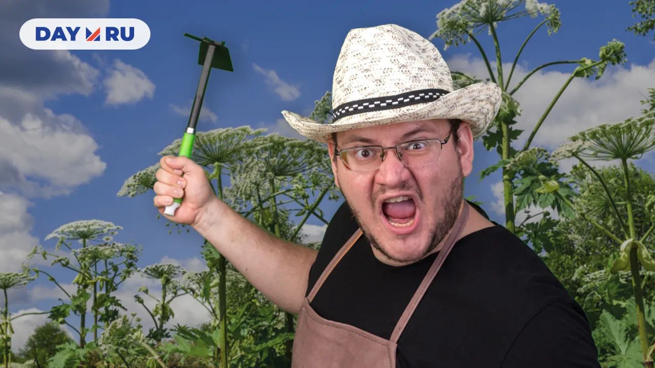 Борьба с борщевиком