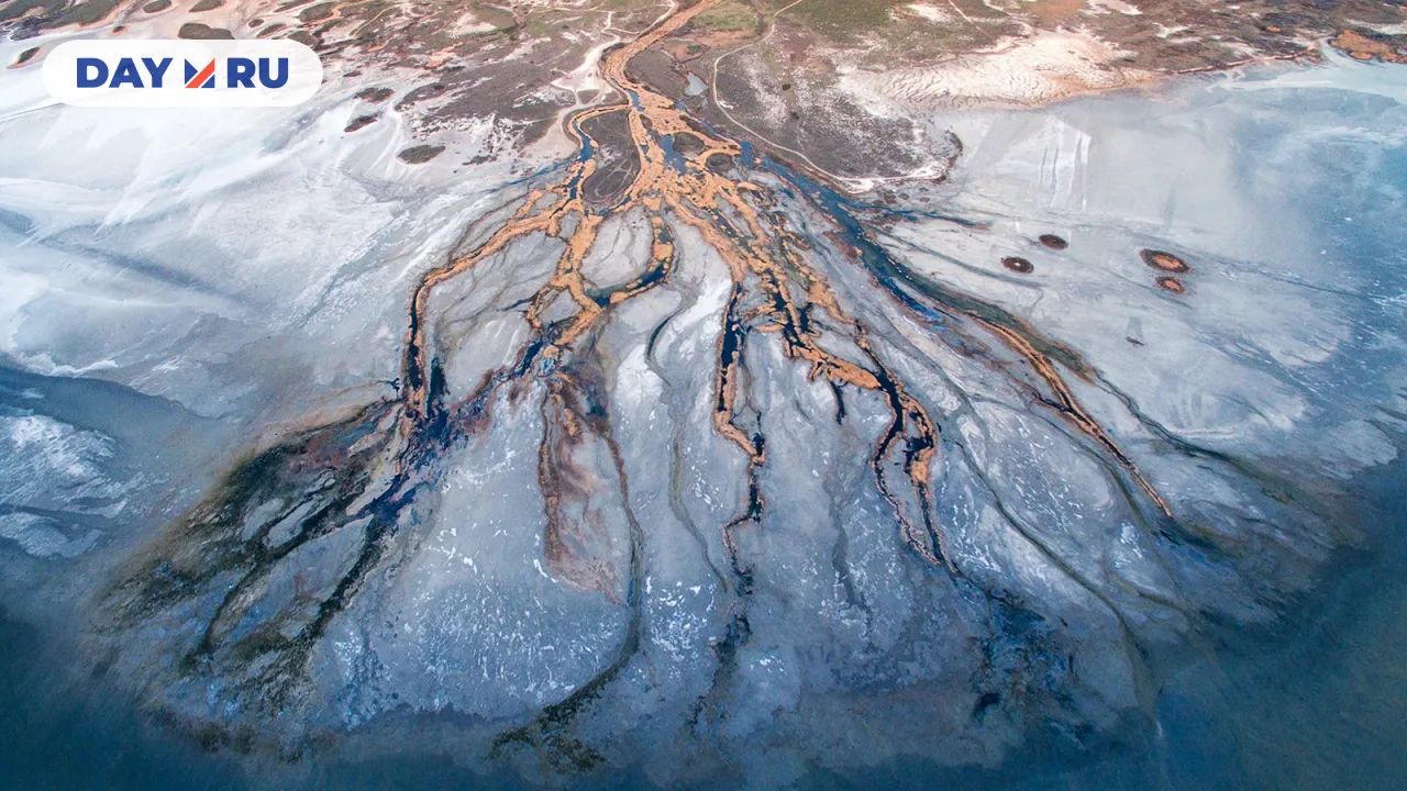 Дельта реки Самарода у солёного озера Эльтон