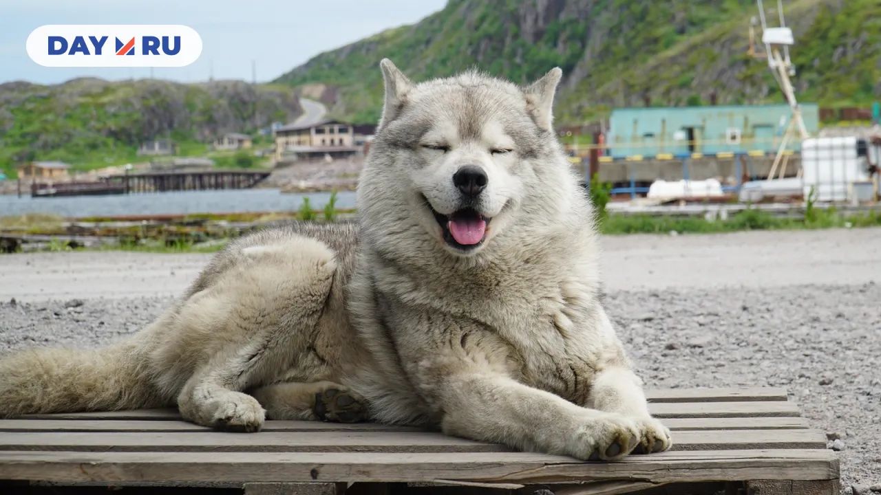 Окрестности Териберки