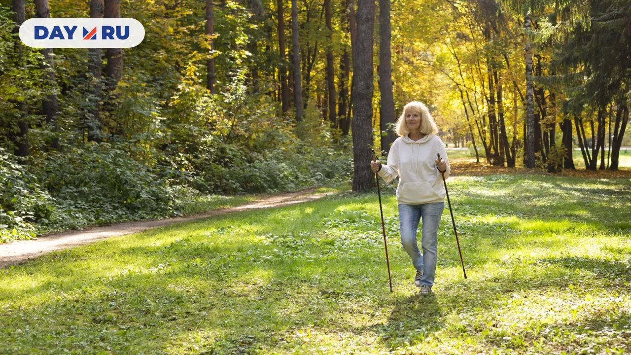 Лесная прогулка