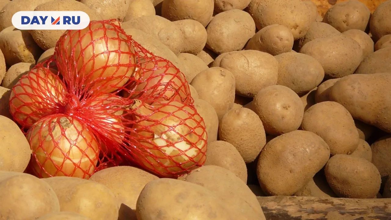 Лук и картофель