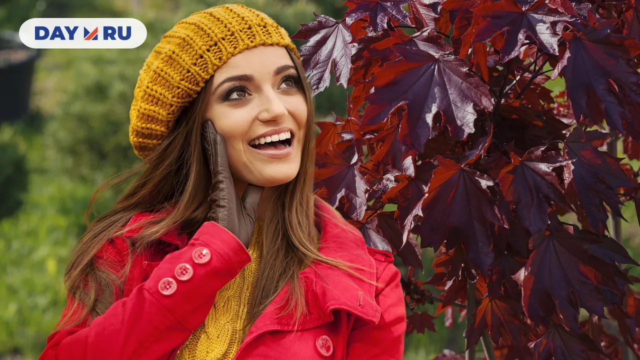 Красный клен