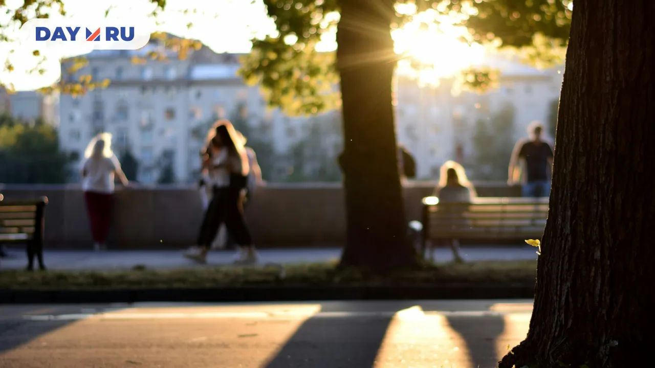 Деревья, Москва