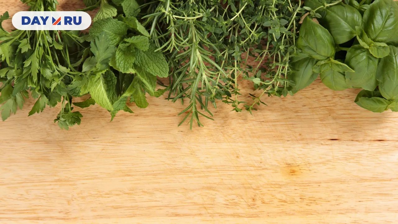 Пряные травы