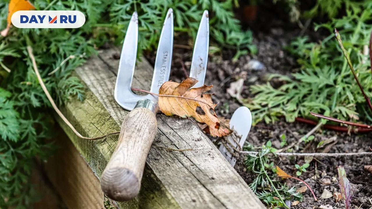 Садовые работы