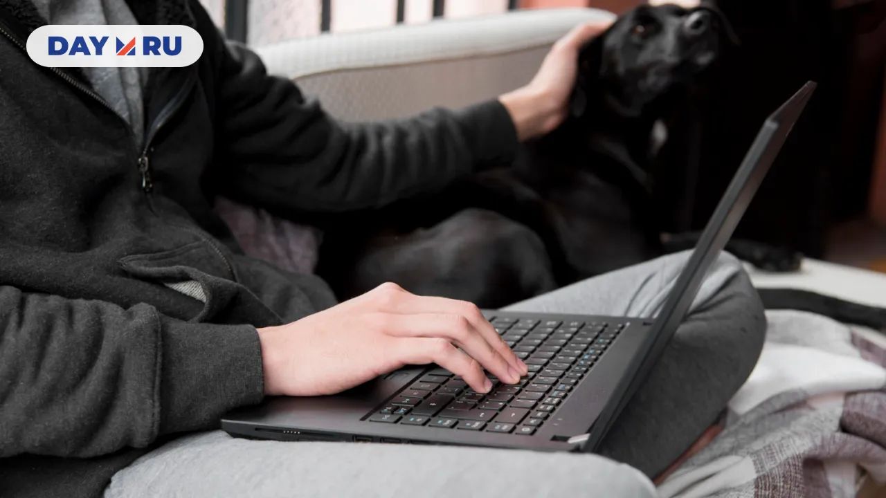 Мошенник, ноутбук