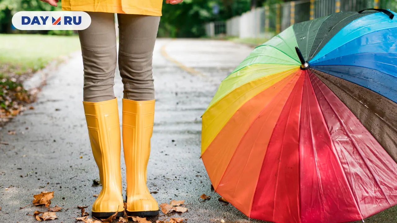 Осень, дождь, зонт, человек