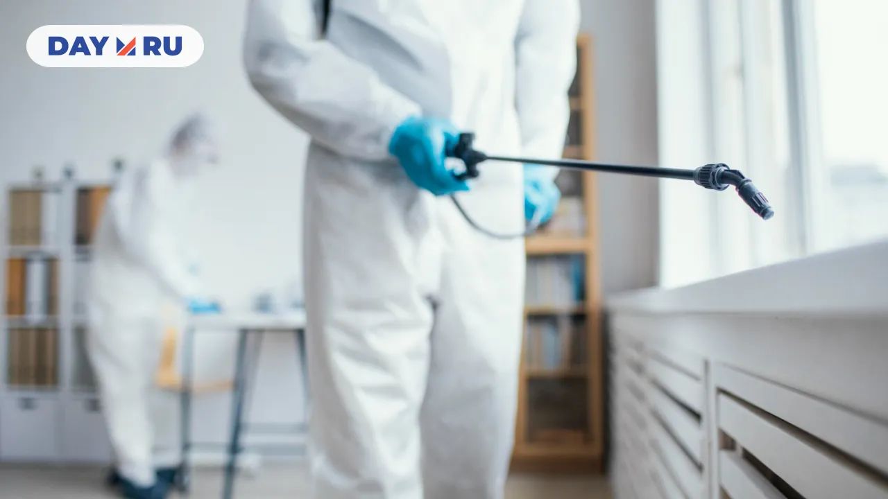 Дезинсекция