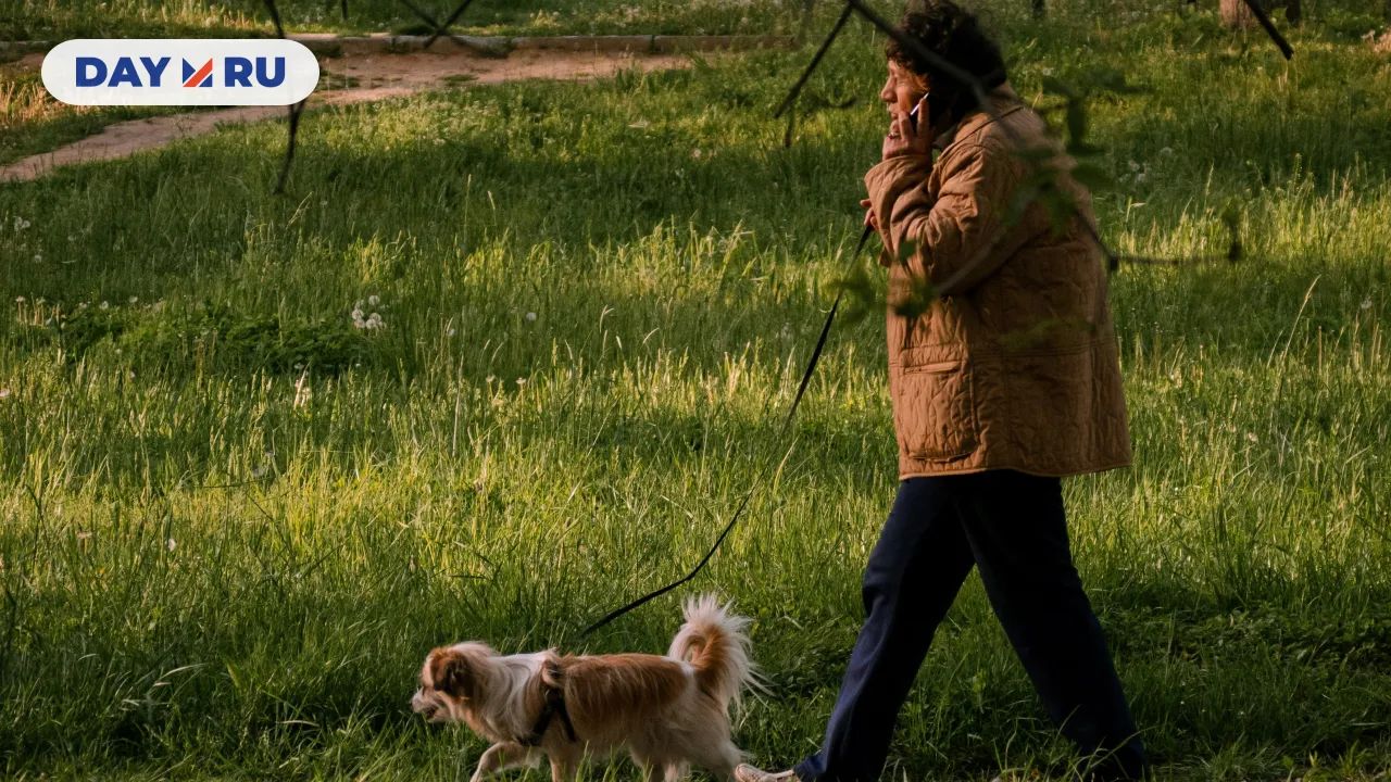 прогулка с питомцем