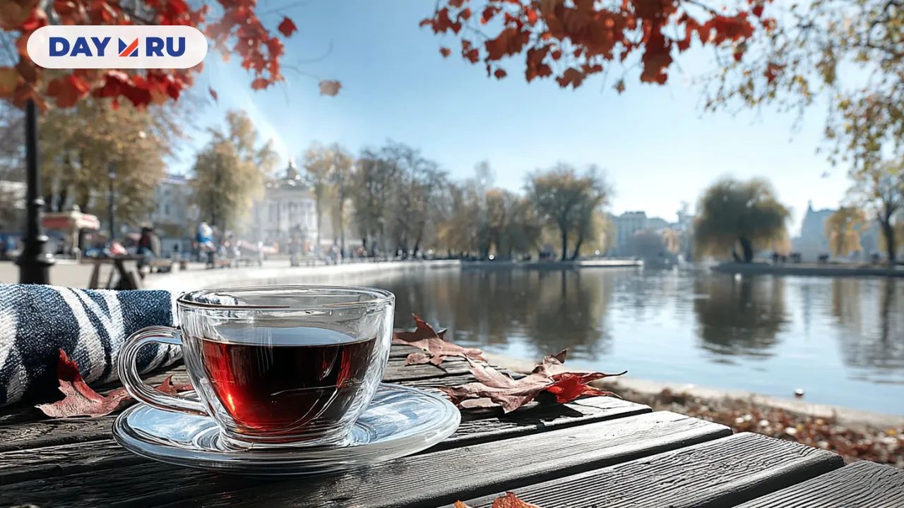 Арт, осень в Москве