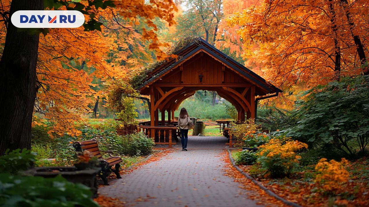 Арт, деревянная читальня