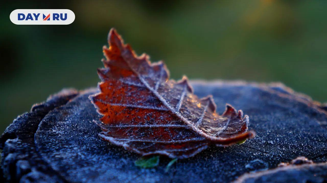 Заморозки, осень