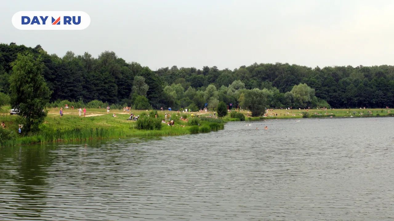 Лебедянский пруд