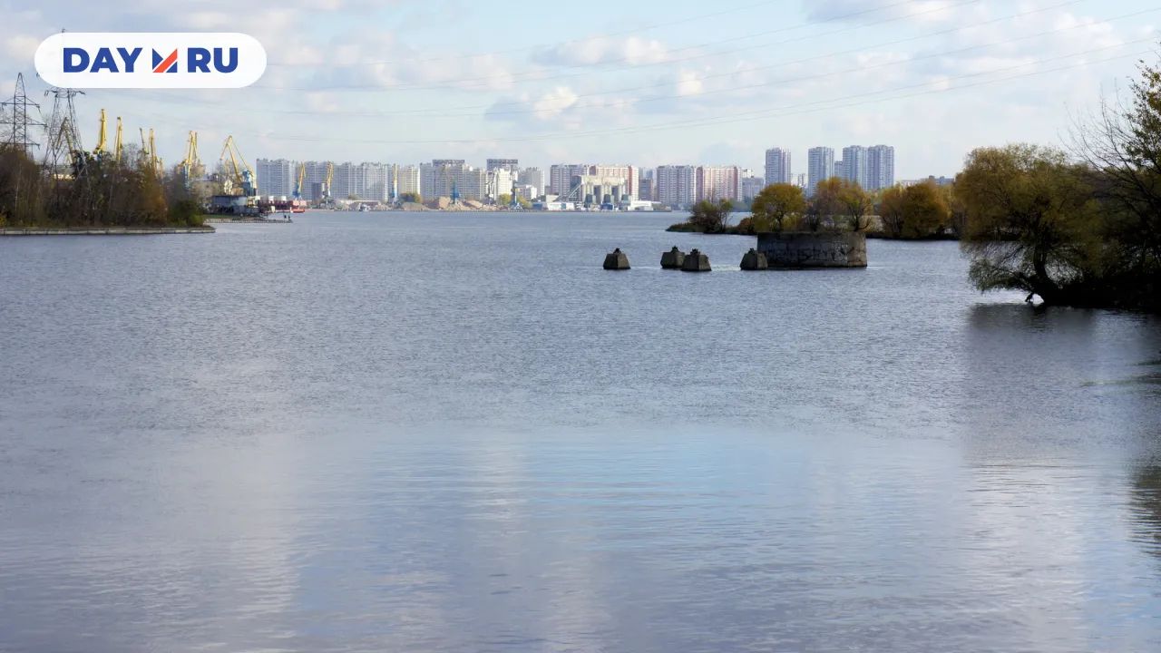 Нагатинская пойма