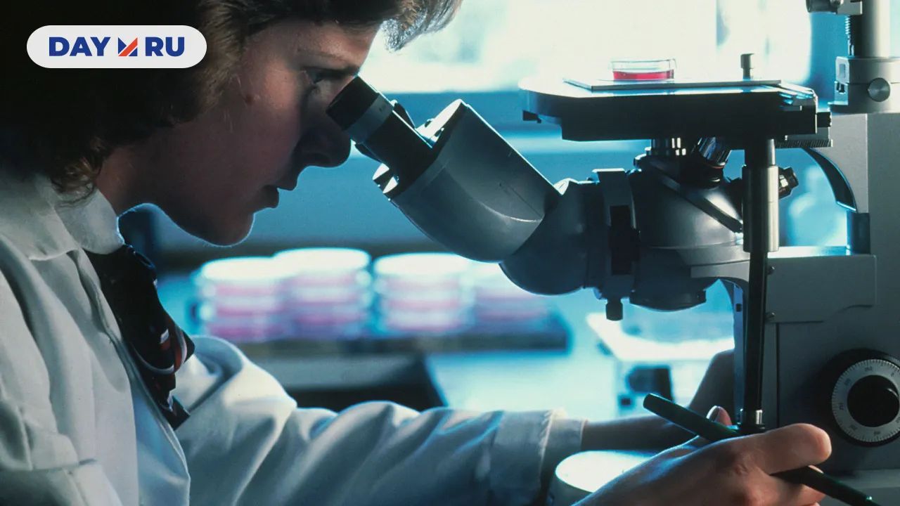 исследование на микроскопе