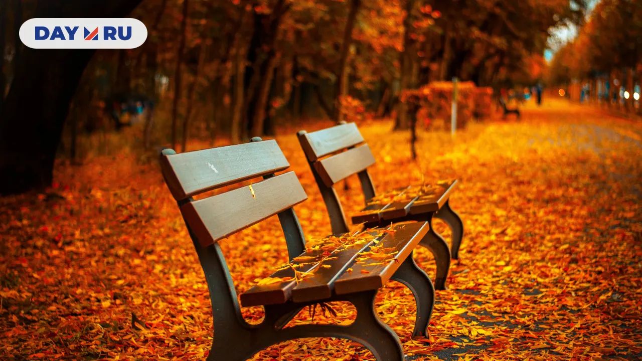 Осень, скамейки